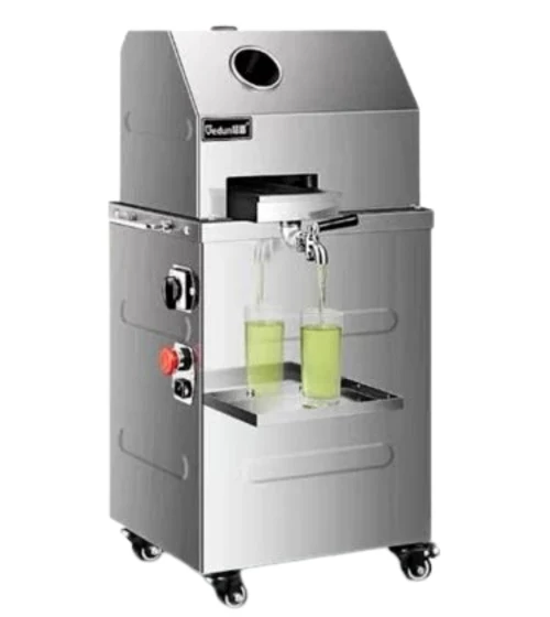 Sugarcane Juice Machine - Bangasree Machinery